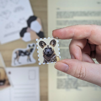 Paw & Paper - Julibrief 2026 - Afrikanischer Wildhund