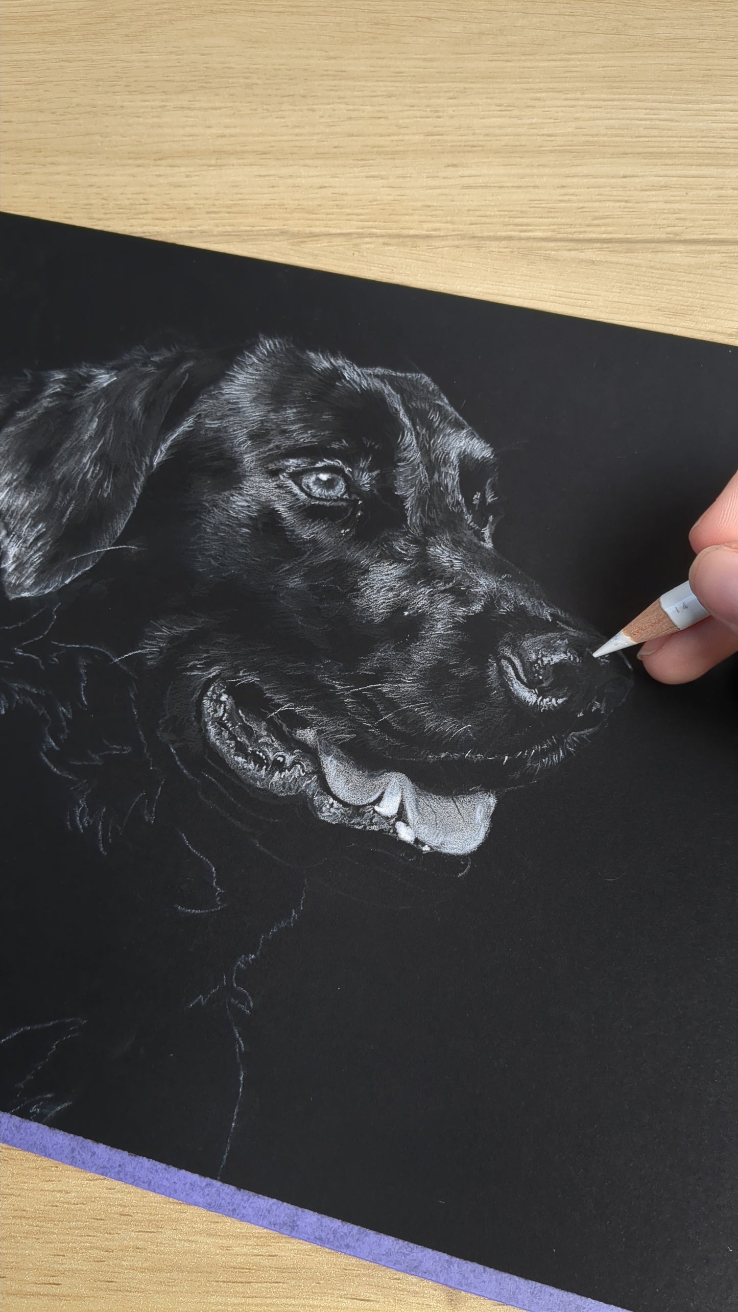 Black and White  - Buntstiftzeichenkurs auf schwarzem Papier [Präsenzkurs]