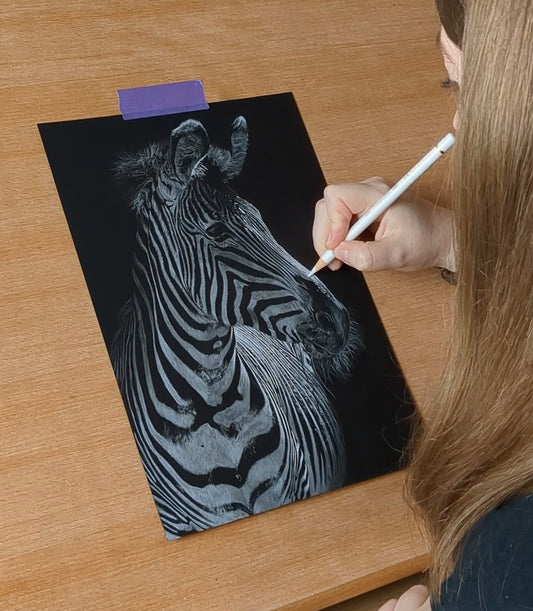 Black and White  - Buntstiftzeichenkurs auf schwarzem Papier [Präsenzkurs]